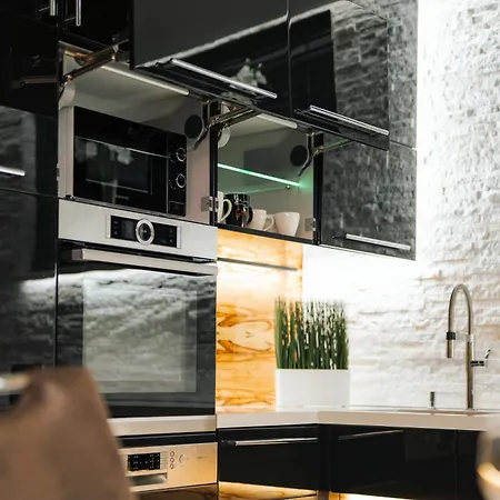 公寓 Horizon Penthouse-siofok 希欧福克